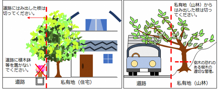 道路上にはみ出している樹木、枯れている木などの剪定、伐採イメージ図